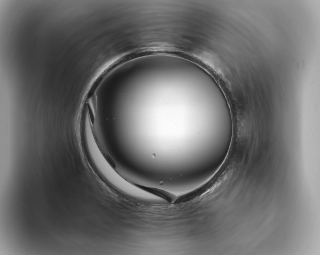 X0000094201325200710261144