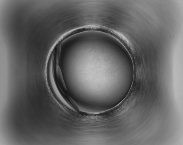 X0000094201327200710261144