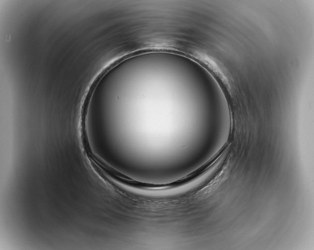 X0000094201331200710261144