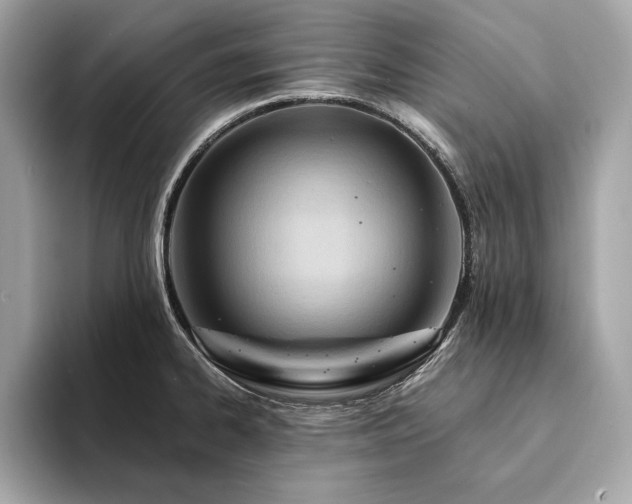 X0000094201334200710261144