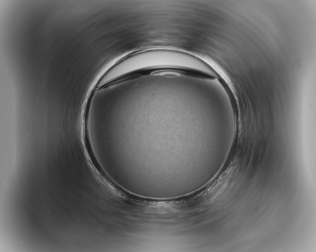 X0000094201341200710261144