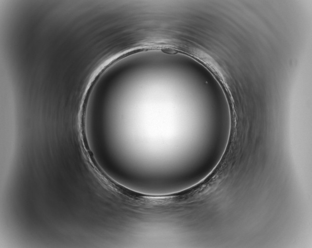 X0000094201344200710261144