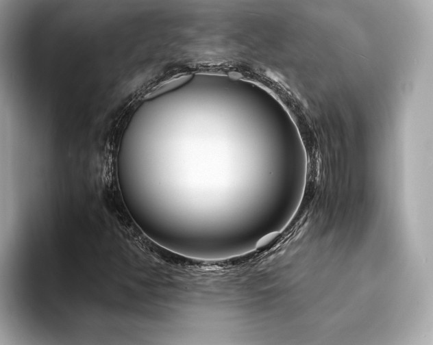 X0000094201350200710261143