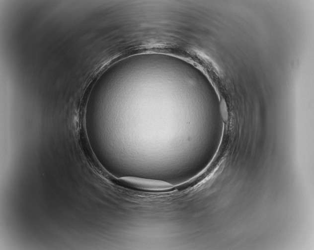 X0000094201353200710261143