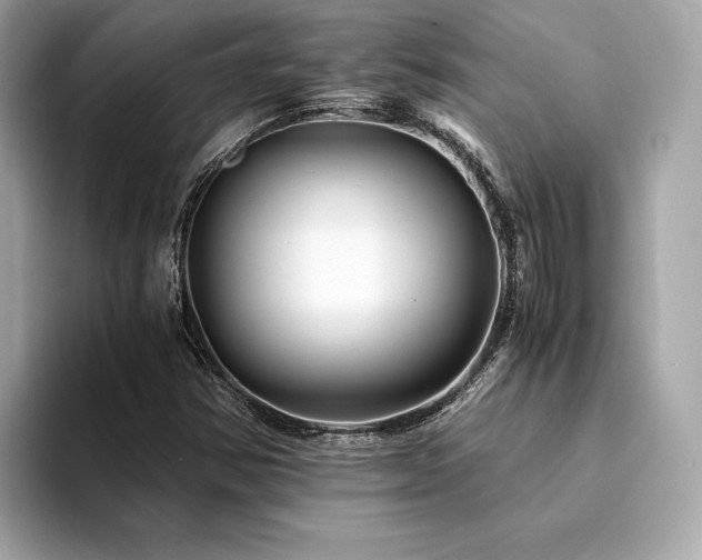 X0000094201354200710261143