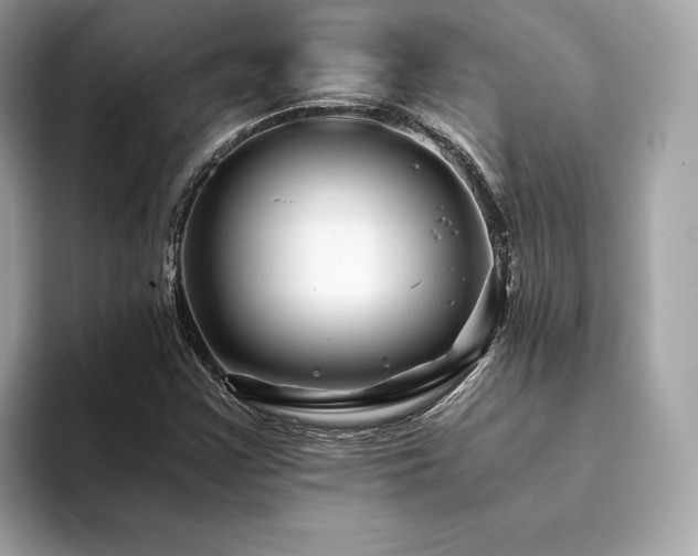 X0000094201355200710261143