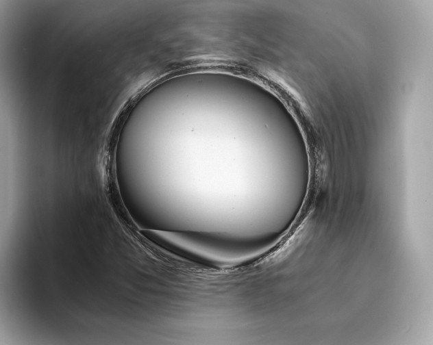 X0000094201357200710261143