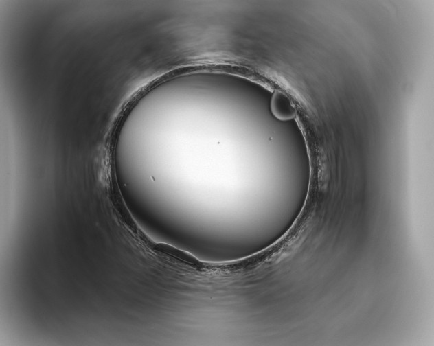 X0000094201358200710261143