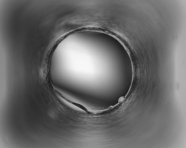 X0000094201359200710261143