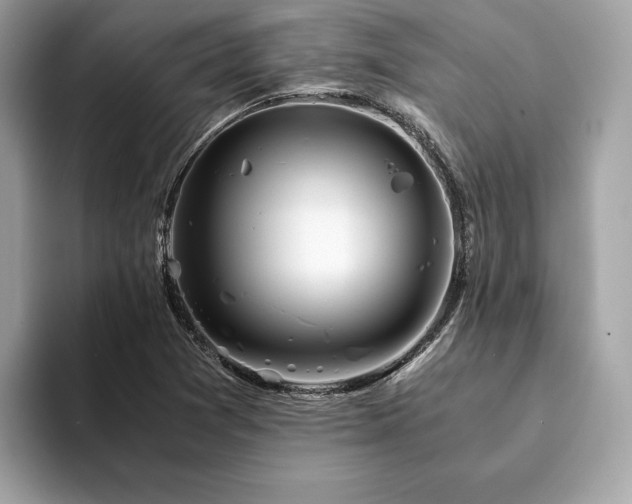 X0000094201361200710261143