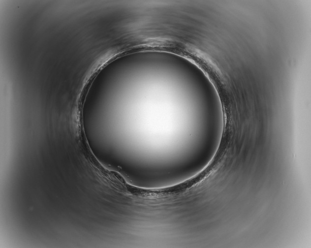 X0000094201362200710261143