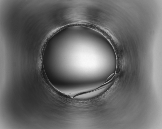 X0000094201363200710261143