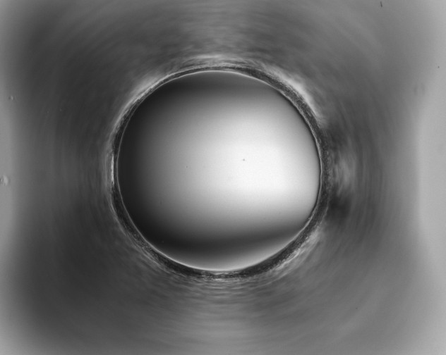 X0000094201365200710261143
