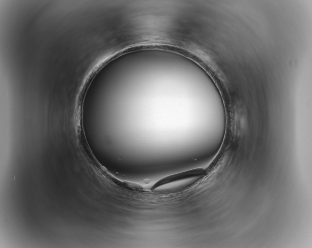 X0000094201366200710261143
