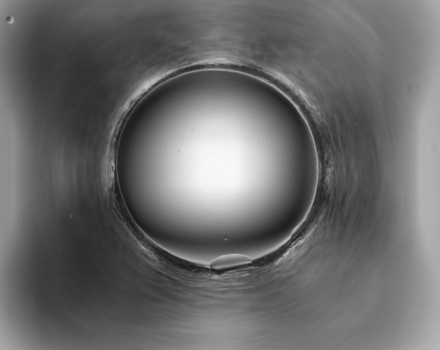 X0000094201367200710261143