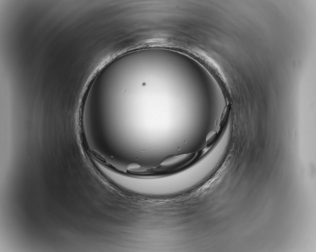 X0000094201373200710261143