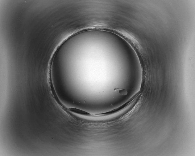 X0000094201374200710261143