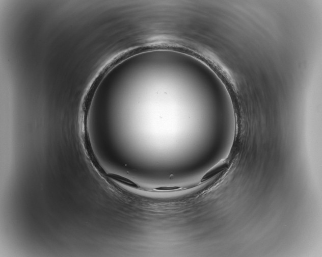 X0000094201376200710261143