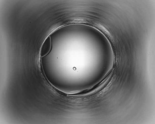 X0000094201378200710261143