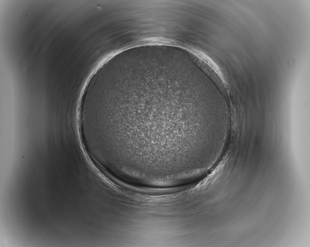 X0000094201381200710261143