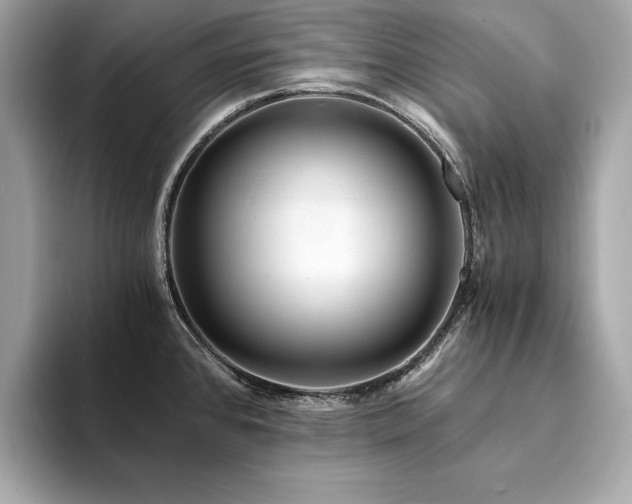 X0000094201384200710261143
