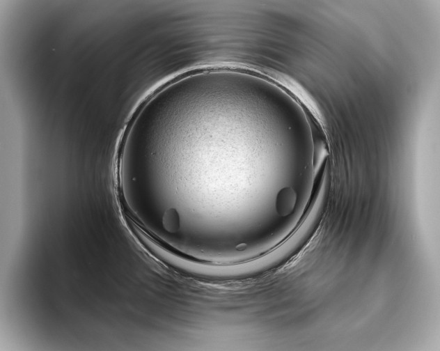 X0000094201388200710261143