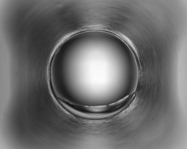 X0000094201389200710261143