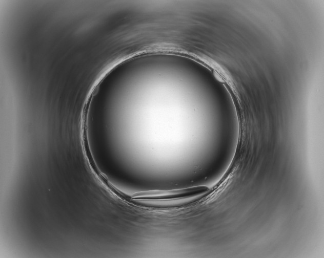 X0000094201390200710261143