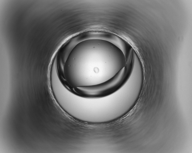 X0000094201392200710261143