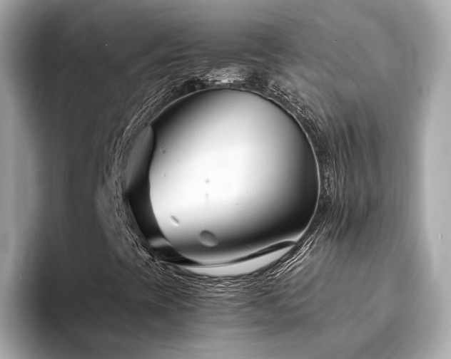 X0000094201393200710261142