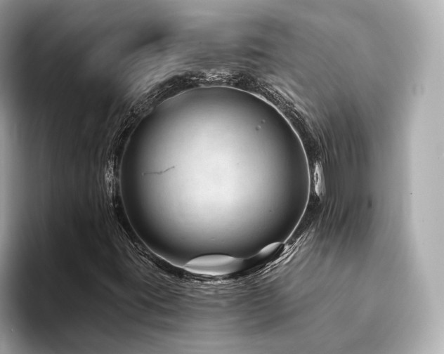 X0000094201395200710261142