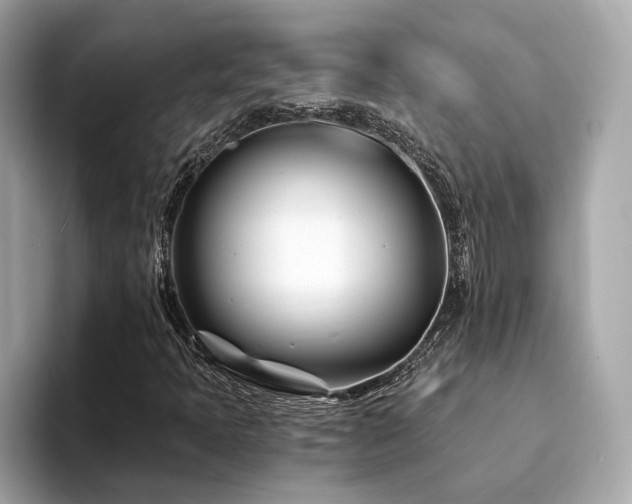 X0000094201397200710261142
