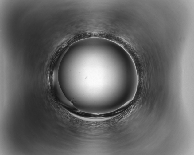 X0000094201398200710261142