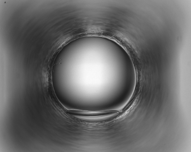 X0000094201401200710261142