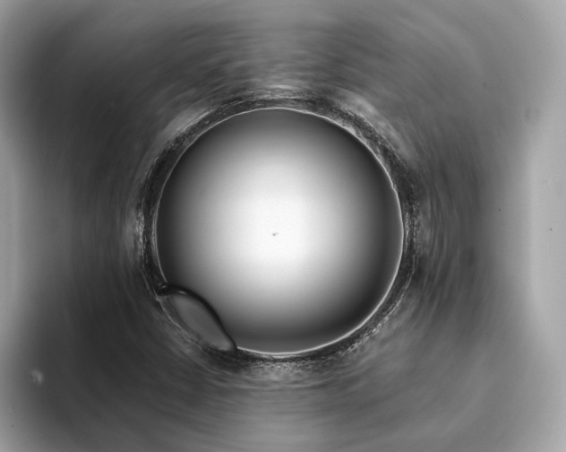 X0000094201402200710261142