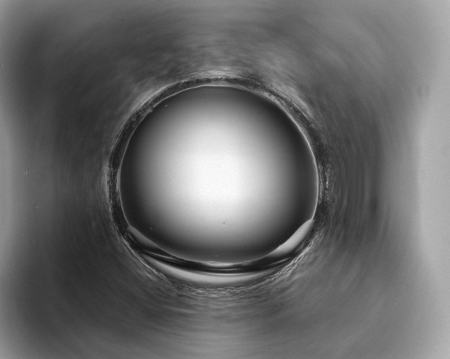 X0000094201404200710261142