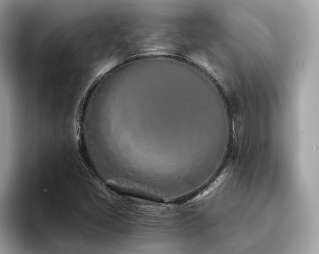 X0000094201405200710261142