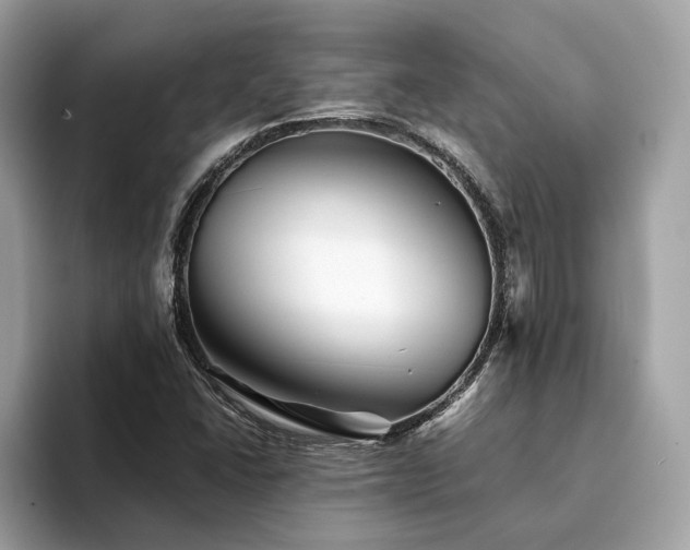 X0000094201406200710261142