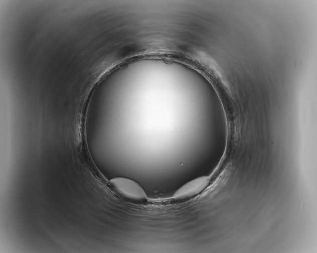X0000094201409200710261142