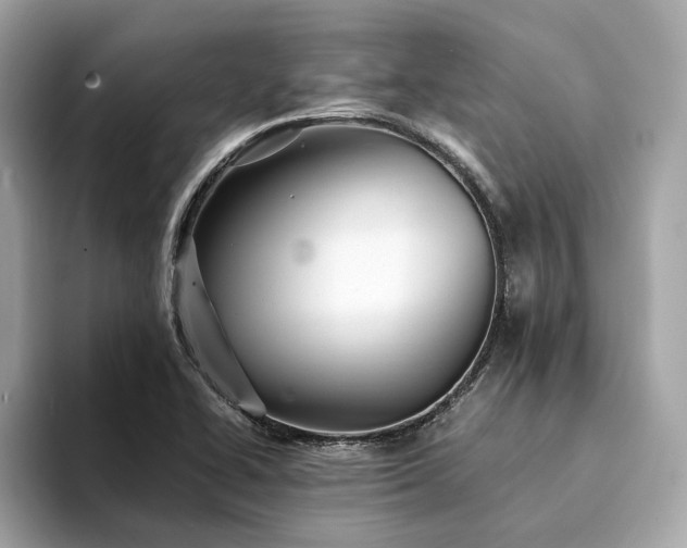 X0000094201414200710261143