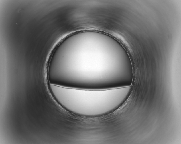 X0000094201424200710261143