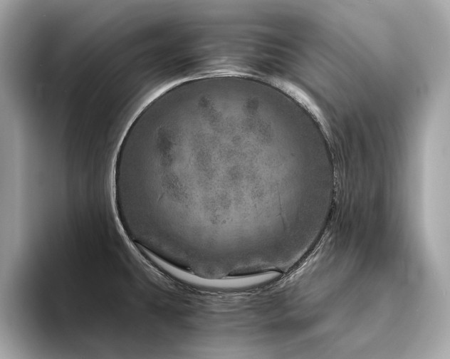 X0000094201431200710261143