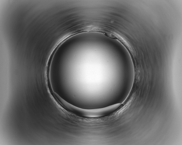 X0000094201434200710261143