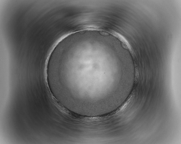 X0000094201435200710261143