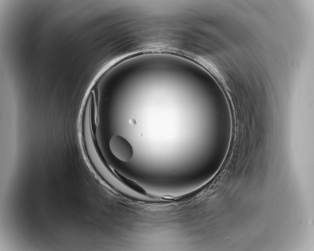 X0000094201440200710261143