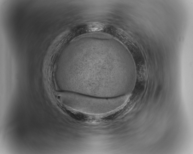 X0000094201441200710261142