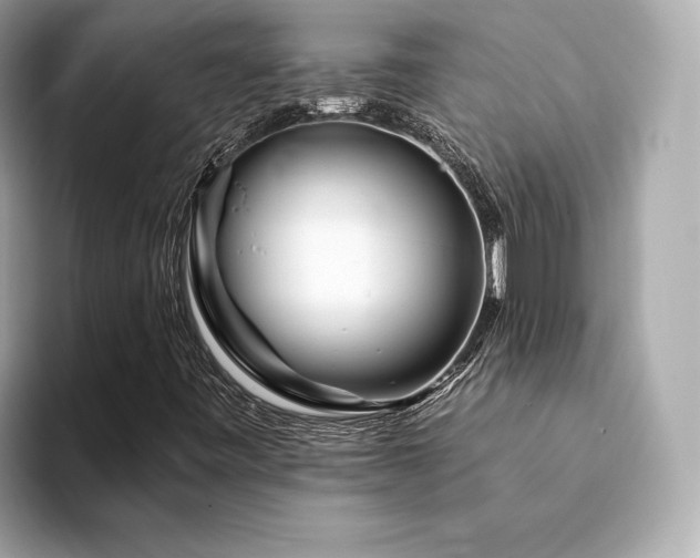 X0000094201443200710261142