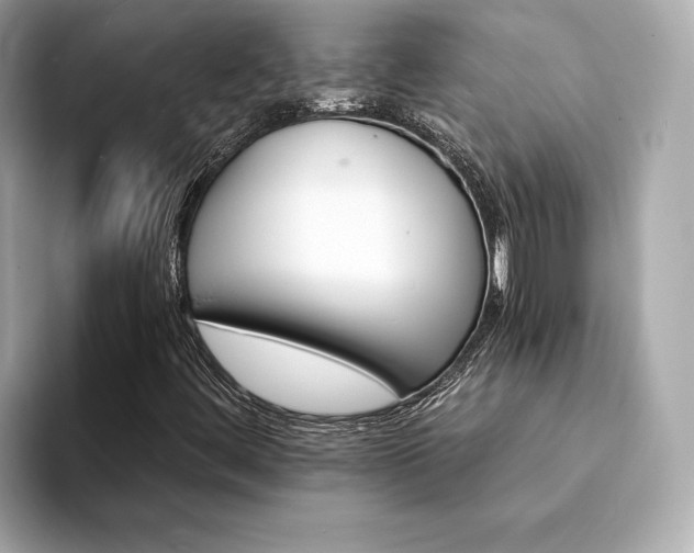X0000094201444200710261142