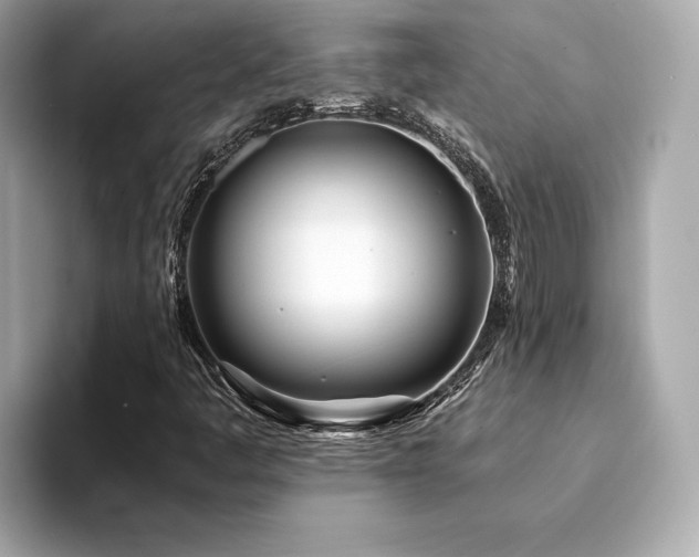 X0000094201445200710261142