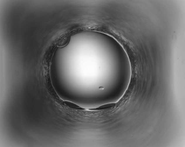 X0000094201447200710261142